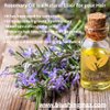 Blushing Max Organic Rosemary Mint Hair Growth & Strengthening Serum - Peppermint, Castor, Coconut, Ginger Oils, Biotin, Scalp Treatment for Moisturizing and Hair Growth