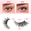 Half Lashes with Clear Band, 10mm Natural Look Cat-Eye Lashes Flu-ffy Wispy 3D Curly Eyelashes, that Look Like Extensions Accent Lashes Faux Mink False Eyelashes 7 Pairs Pack(CZ-3D04)