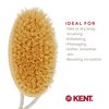 Kent FD11 Shower Brush Back Brush Shower Exfoliating Brush Body Wash Brush Oval Bath Brush Exfoliates Wet or Dry Skin and Improves Circulation. Perfect for Lathering and Scrubbing. Made in England.