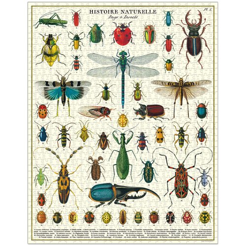 Cavallini 1000 Piece Puzzle, Bugs and Insects (PZL/Bug)