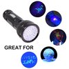 HQRP 390 nM 51 LED Flashlight Blacklight for Hotel Room Inspection, Saliva Sperm Identification, Pet Urine Detection, Scorpion Hunting, Security Control, Leak Detection, etc.