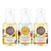 Michel Design Works Mini Foaming Hand Soap Set, Autumn Scents (819056)