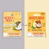 Burt's Bees Coconut and Pear Lip Balm, Lip Moisturizer With Responsibly Sourced Beeswax, Tint-Free, Natural Conditioning Lip Treatment, 1 Tube, 0.15 oz.