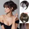 Mini Fringe Hairpiece Straight Clip in Forehead Topper with Wispy Bangs Extension Black Brown
