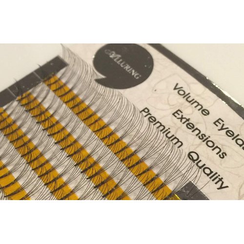 Eyelash Extension Alluring Volume Lashes 5D Lash Fans C Curl 10mm
