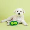 Fringe Studio "WE Come in PEAS Latex Dog Toy, Pet Shop Collection (366016)
