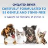 PetSilver Eye Wash Drops for Dogs and Cats with Chelated Silver, Made in USA, Natural Eye Solution, Relief for Inflammation & Eye Irritation, Easy to Apply, 4 fl oz