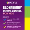 Elderberry Gummies for Kids with Zinc and Vitamin C | Potent, Herbal Immune Support for Kids with Antioxidants to Support Immune Defense | 60 Vegan Elderberry Vitamin C and Zinc Kids Immune Gummies