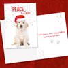 Canopy Street Labrador Love Holiday Card Pack / 25 Cards And Envelopes Pack/Festive Santa Hat Puppy Design With Greeting Inside/Dog Christmas And New Year Cards
