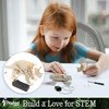 Robotic Dinosaur Kit for Kids Ages 6-12 - Arts & Crafts Science Kit with Wooden Dinosaur Toys - Perfect 6 Year Old Boy Gifts for Art Set and Fun Dinosaur Crafts with Paints