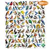 109 PCS Small Rainforest Bird Temporary Tattoos Birthday Party Decorations Supplies Favors Hawaiian Summer Hummingbird Decor Stickers For Girls Boys Gift School Prizes Rewards