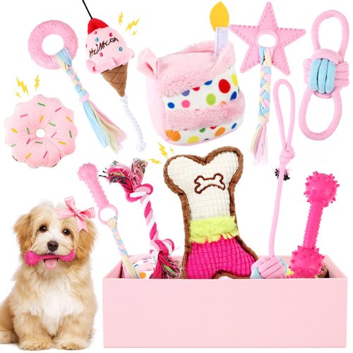 RoundFunny 11 Pcs Dog Birthday Toy Dog Birthday Cake Puppy Teething Toys Girl Boy Squeak Toys Interactive Dog Toys Dog Birthday Gift with Box for Puppy Small Medium Size(Pink)
