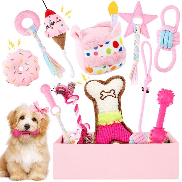RoundFunny 11 Pcs Dog Birthday Toy Dog Birthday Cake Puppy Teething Toys Girl Boy Squeak Toys Interactive Dog Toys Dog Birthday Gift with Box for Puppy Small Medium Size(Pink)