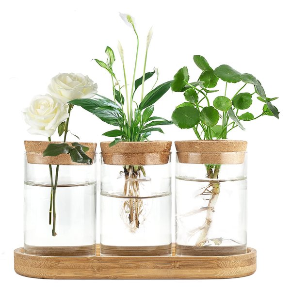 Dahey Plant Propagation Terrarium Desktop Glass Planter Station Water Planting Glass Vase with Lid and Wooden Stand for Propagating Hydroponic Plants Centerpiece Office Home Garden Decor, 3 Pcs