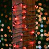 Novelty Lights 100 Light LED Christmas Mini Light Set, Outdoor Lighting Party Patio String Lights, Red, Green Wire, 34 Feet