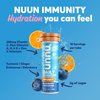 Nuun Immunity: Antioxidant Immune Support Hydration Supplement with Vitamin C, Zinc, Turmeric, Elderberry, Ginger, Echinacea, and Electrolytes. Flavor: Blueberry Tangerine, 8 tubes (80 servings)