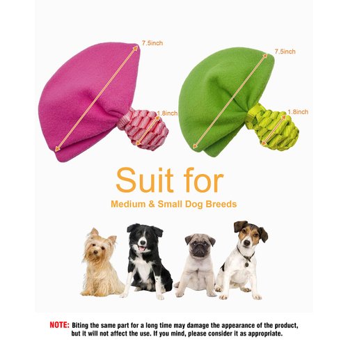 CaBYbigG Dog Squeak Toys,Puppy Toys,No Stuffing Puppy Chew Toys for Teething,Candy Dog Toy for Medium Small Dogs 2 Pack