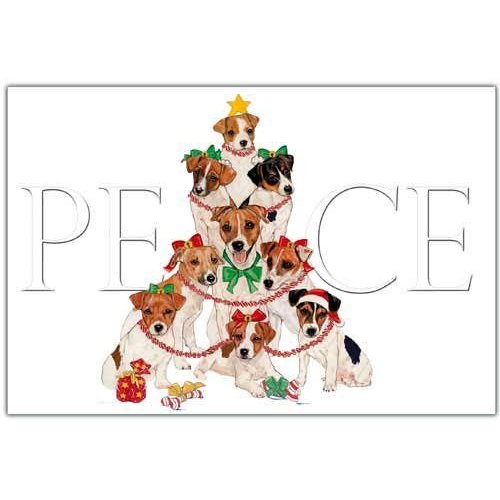 Jack Russell Terrier Christmas Cards : 10 Holiday Cards with Envelopes