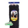 Freetress Braid Crochet & Latch Hook 3X Pacific Curl 18" (T530)
