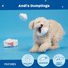 Barkbox 2 in 1 Interactive Plush Dog Toy - Rip and Reveal Toy for Dogs and Puppies - Stimulating Squeaky Pet Toys | Andi's Dumplings (Small)