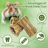 Hamiledyi Bunny Chew Toys for Teeth 2 Pcs Organic Papaya Wood Rabbit Chew Sticks Natural Chinchilla Toys Teeth Molar Treats for Hamster Guinea Pig Rat Gerbils and Other Small Animals