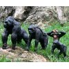 Gemini&Genius King Kong Toys, Safari Animal Toys Gorilla Family Figurines, Wildlife World Action Figure, Backyards Garden Flowerpot Room Decoration, Cup Cake Toppers for Ages 3 Years Old & Up Kids