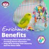 Super Bird Creations SB1088 Birdie Bouquet Toy - Engaging Bird Toys, Enrichment Toy for Parrotlets, Parakeets, Cockatiels and More, Made with Colorful Toy Parts - Small/Medium Birds, 6" x 3" x 2"