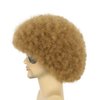 karlery Adult Men Women Afro 70s 80s Curly Light Brown Wig Rocker Party Wig California Halloween Costume Wig