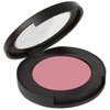 Jill Kirsh Color Mineral Blush - Hollywood's Guru of Hue for Gray & Ash Blonde Hair Color (Pink Slipper, .15 oz)