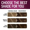 Schwarzkopf Keratin Color Permanent Hair Color, 6.0 Delicate Praline,1 Application-Professionally Inspired Permanent Hair Dye,for up to 80% Less Breakage vs Untreated Hair and up to 100% Gray Coverage