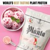 Ambrosia Planta - Premium Organic Plant-Based Protein | Vegan & Keto Friendly | Gourmet Flavors | No Bloating or Stomach Upset | Gluten & Soy Free | No Added Sugar | 25 Servings | Strawberry Ice Cream