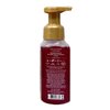 Bath & Body Works 'Tis The Season 2 Pack Gentle Foaming Hand Soap Bundle with a Natural Oats Sample Soap