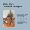 hers Clear Slate Anti Dandruff Shampoo, 1 Pack - Dermatologist Formulated Dry Scalp & Dandruff Shampoo with Biotin - Shampoo with 1% Zinc Pyrithione - Botanical Garden Scent - 1 x 6.4 fl oz