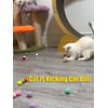 HEUHAI Interactive Cat Toys Variety Pack 20-Piece Cat Enrichment Toys for All Ages Spring Toys Bell Balls & Plush Toys to Stimulate Bored Indoor Cats