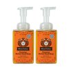 Moon Valley Herbal Foaming Hand Soap, Vegan (By the Fire, Recyclable Bottle)