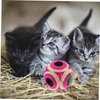 Kisangel Cat Toy Sisal Hole Interactive Grinding Toy for Cats and Kittens Chewing and Scratching for Indoor Play and Maintenance