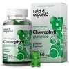 Wild & Organic Chlorophyll Gummies 50mg - Chlorophyll Supplements for Detox Cleanse - Internal Deodorant w/Sodium Copper Chlorophyllin - Chlorophyll Herbal Supplement - 60 Chlorophyll Powder Chews