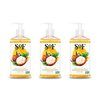 South Of France Shea Butter Clean Hand Wash Clean Body Care | Moisturizing Liquid Hand Soap with Mediterranean Sea Algae | 8 oz Pump Bottle – 3 Pack