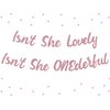 Sursurprise Miss Onderful 1st Birthday Decorations for Girl, Isn't She Lovely, Isn't She Onederful Banner Rose Gold First Birthday Party Supplies