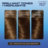 Nice n Easy Clairol Permanent Hair Dye,5G Medium Golden Brown Hair Color,Pack of 1