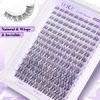 Wispy Lash Clusters Invisible Band Natural Lash Extensions Waterproof 8-16mm Cluster Eyelash Extension D Curl DIY Individual Cluster Lashes by ALICE