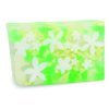Primal Elements Glycerin Bar Soap | Helps All Skin Types, Sensitive, Oily & Dry Skin | NO PARABENS, VEGAN, GLUTEN FREE, 100% VEGETABLE BASE - (Plumeria)