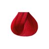 Kiss Tintation Semi-Permanent Hair Color Treatment 148 mL (5 US fl.oz) (Cherry Bomb)
