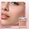 CATKIN Cheek Powder Blush Baked Pink Makeup Blusher Creamy Light Weight Long Lasting Natural Finish 10g (C07 Limerence)