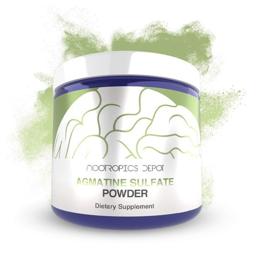 Nootropics Depot Agmatine Sulfate Powder | 125 Grams | Amino Acid Supplement | Supports Energy, Physical Strength and Workout Recovery | Nitric Oxide Booster