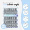 IECILI Lash Clusters Individual Lashes - 280pcs 20D Cluster lashes for DIY Lash Extensions -Super Thin & Soft Eyelashes 8-14mm D Curl Cluster Eyelash Extensions for Natural Wispy Look