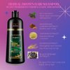 Nielies Hair color shampoo for women and man, 500ml instant Herbal Essence Shampoo, Permanent Hair Dye. Best Shampoo for Grey Hair,3 in 1 Hair Black Dye Shampoo,hair dye shampoo 3 in 1