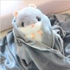 YunNasi Plush Hamster Stuffed Animal Toys Hamster Throw Pillow with Blanket 19.7 Inches Grey