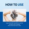 CP-1 Cool Mint Shampoo, for Dry Hair, Relief Icy Menthol, Fresh Peppermint, Scalp Treatment, 16.9 fl oz