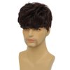 Tseses Curly Brown Wigs for Men Short Natural Layered Hair with Bangs Fluffy Men Costume Synthetic Wigs